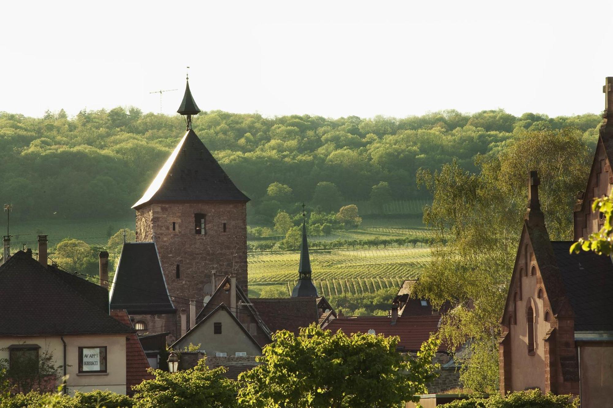Hotel Le Bugatti Molsheim Bagian luar foto